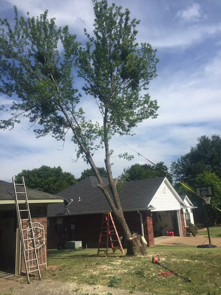 Local yard cleanup service with custom design in Lavaca, AR by Ground Control