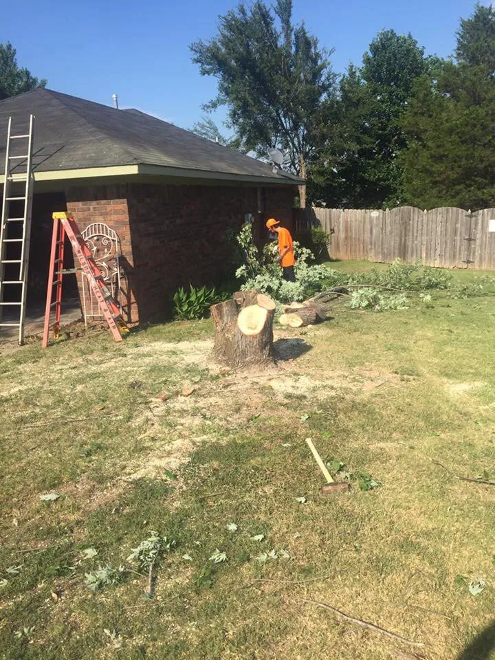 Reliable outdoor landscaping for outdoor upgrades across Lavaca, AR - Ground Control