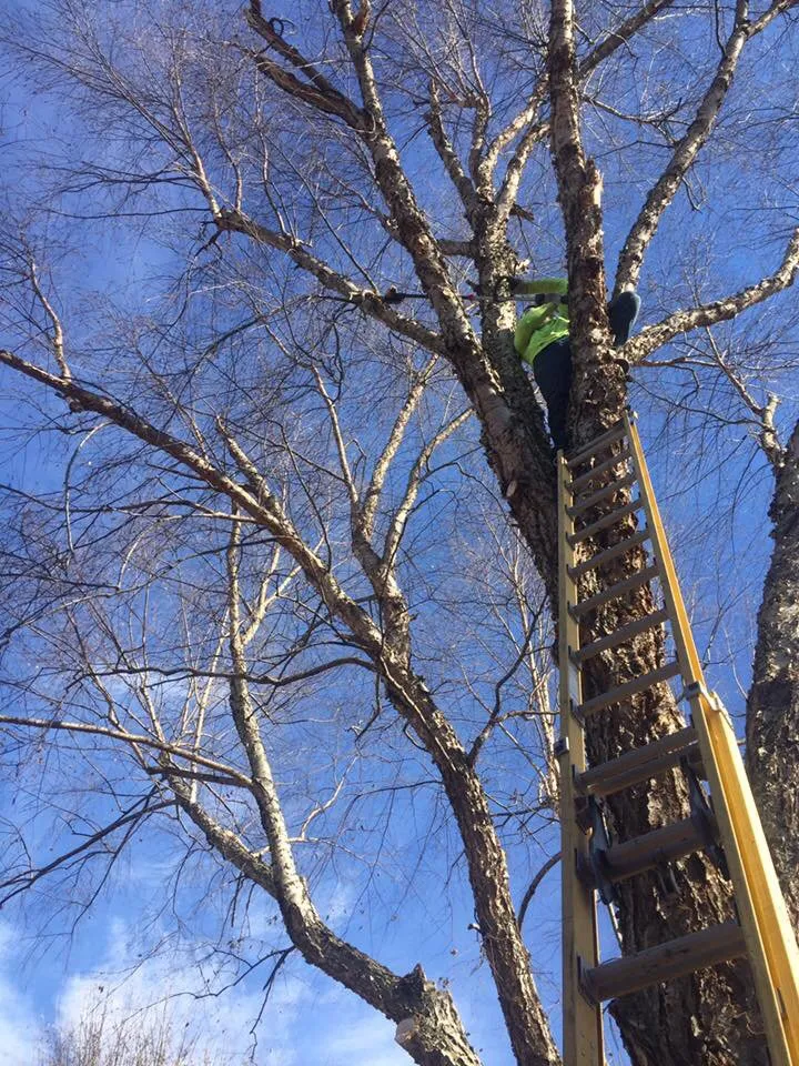Professional landscape installation in Lavaca, AR by Ground Control