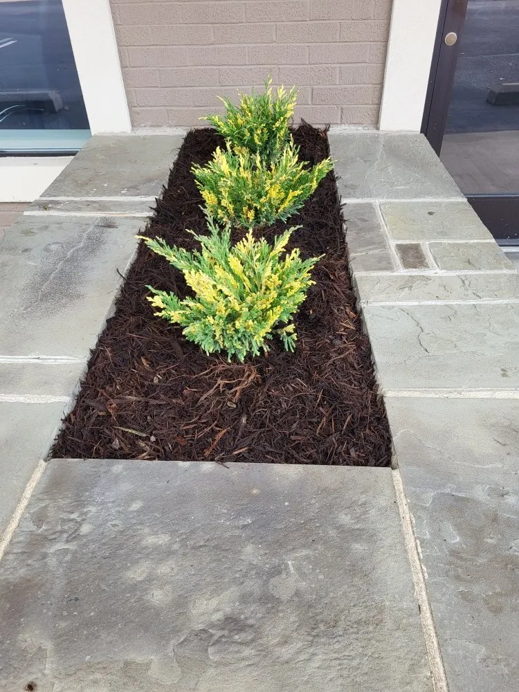 Expert residential landscaping experts serving Johnson City, TN - Ground Control Lawn and Landscape Maintenance