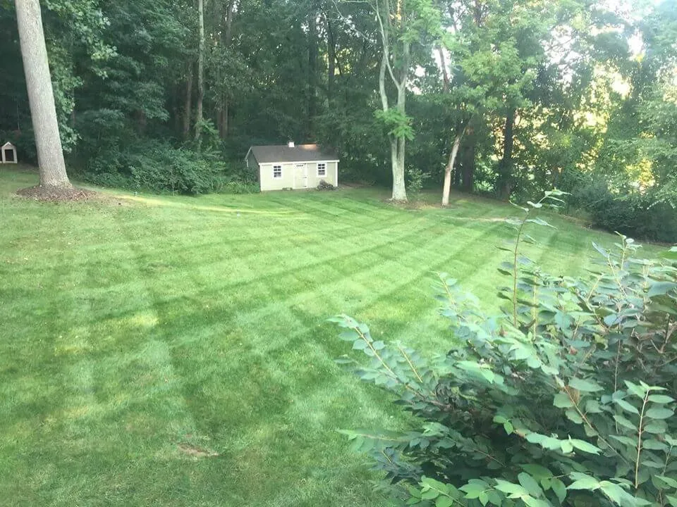 Professional lawn mowing service for beautiful yards in Dundalk, MD by Ground Control Lawn Care