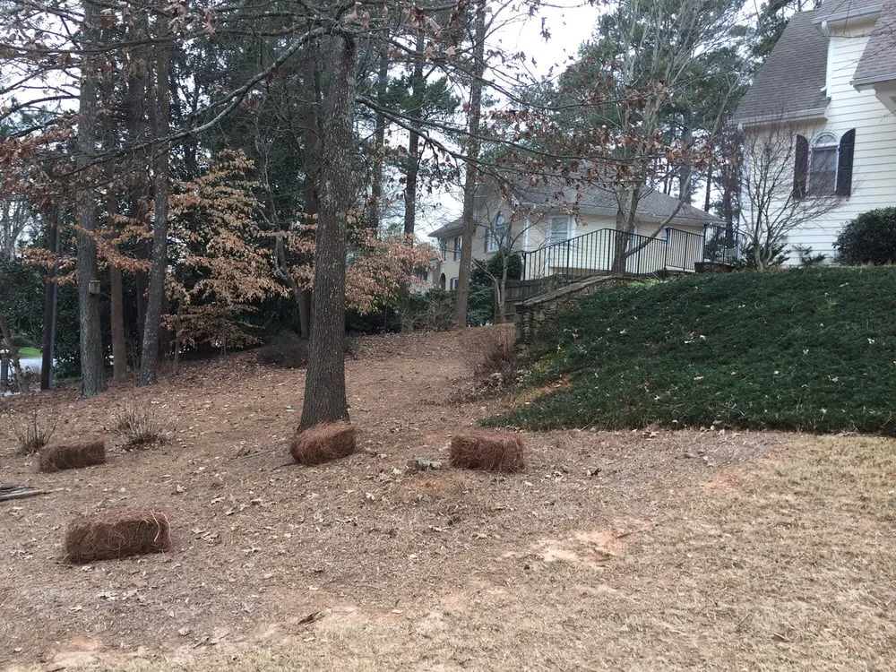 Top-rated yard cleanup service for residential properties across Sugar Hill, GA - Ground Control Lawn Services