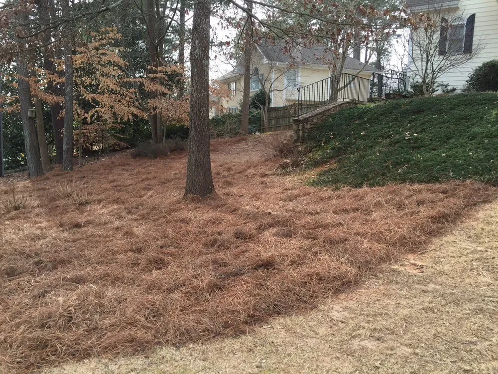 Local yard maintenance in Sugar Hill, GA - Ground Control Lawn Services