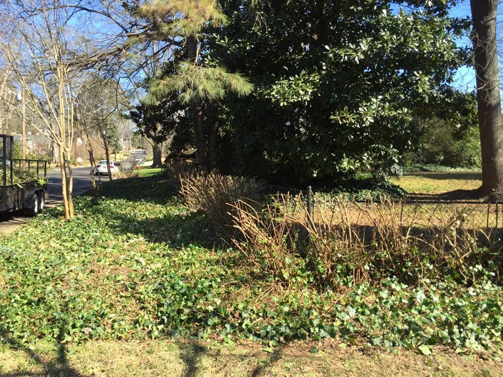 Professional garden landscaping for beautiful yards in Sugar Hill, GA by Ground Control Lawn Services