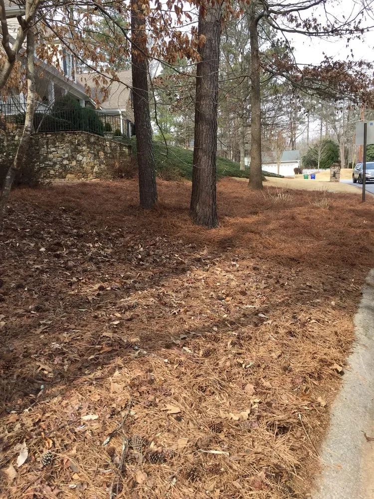 Top-rated outdoor landscaping in Sugar Hill, GA by Ground Control Lawn Services
