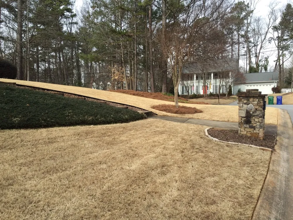 Professional landscape design for outdoor upgrades across Sugar Hill, GA - Ground Control Lawn Services