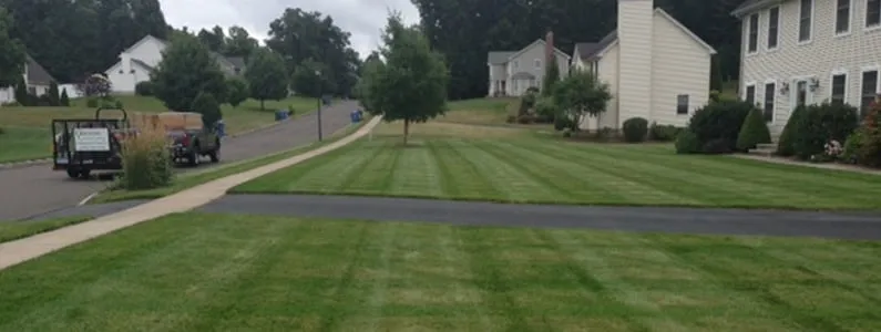 Professional yard cleanup service in Manchester, CT - Ground Control