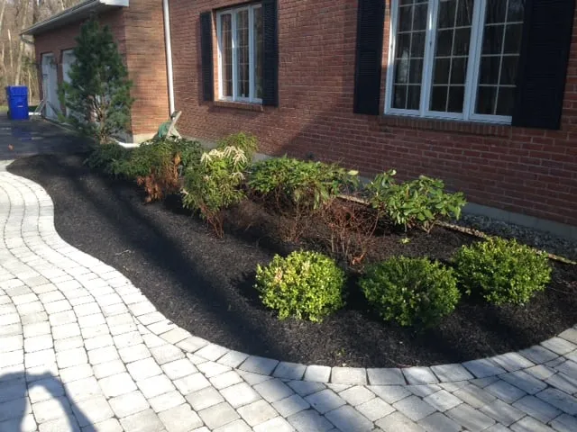 Local lawn care service in Manchester, CT - Ground Control