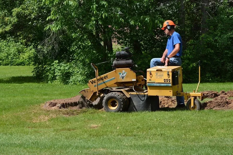 Reliable garden landscaping experts serving Mason, MI - Ground Control