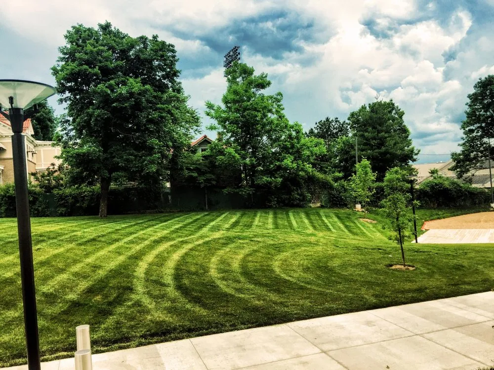Expert landscape design experts serving Nelson, MO - Ground Control