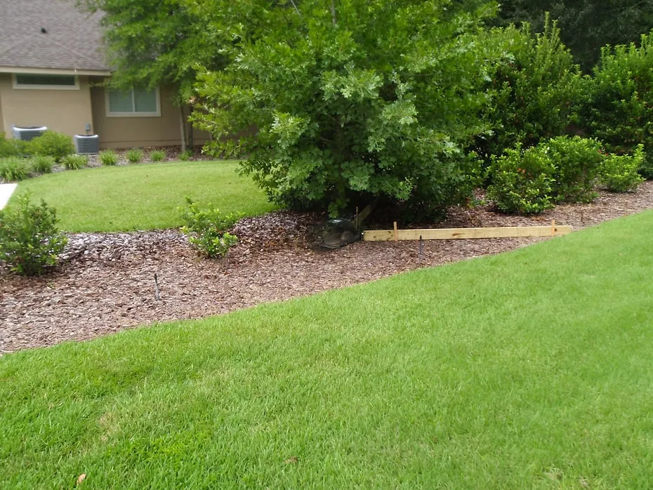 Custom landscaping services for year-round maintenance across Newberry, FL - Ground Control