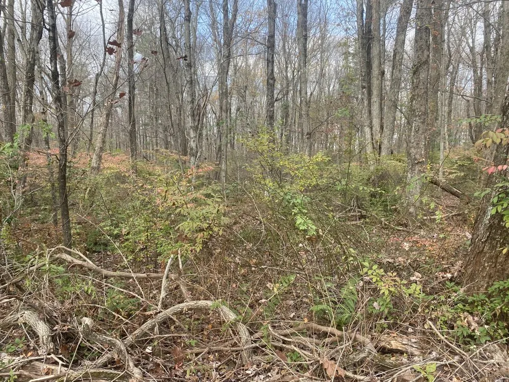 Professional landscape design near you across Sutton, MA - Ground Control Services