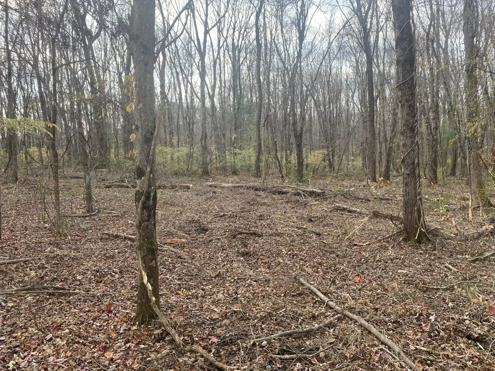 Expert outdoor landscaping in Sutton, MA - Ground Control Services