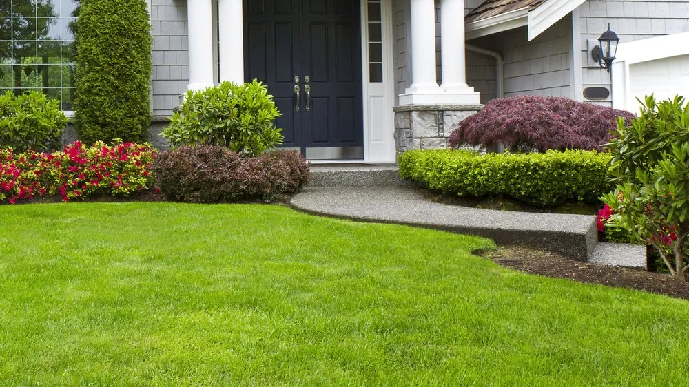 Reliable lawn mowing service near you in Waleska, GA by Ground Cover Landscaping Services