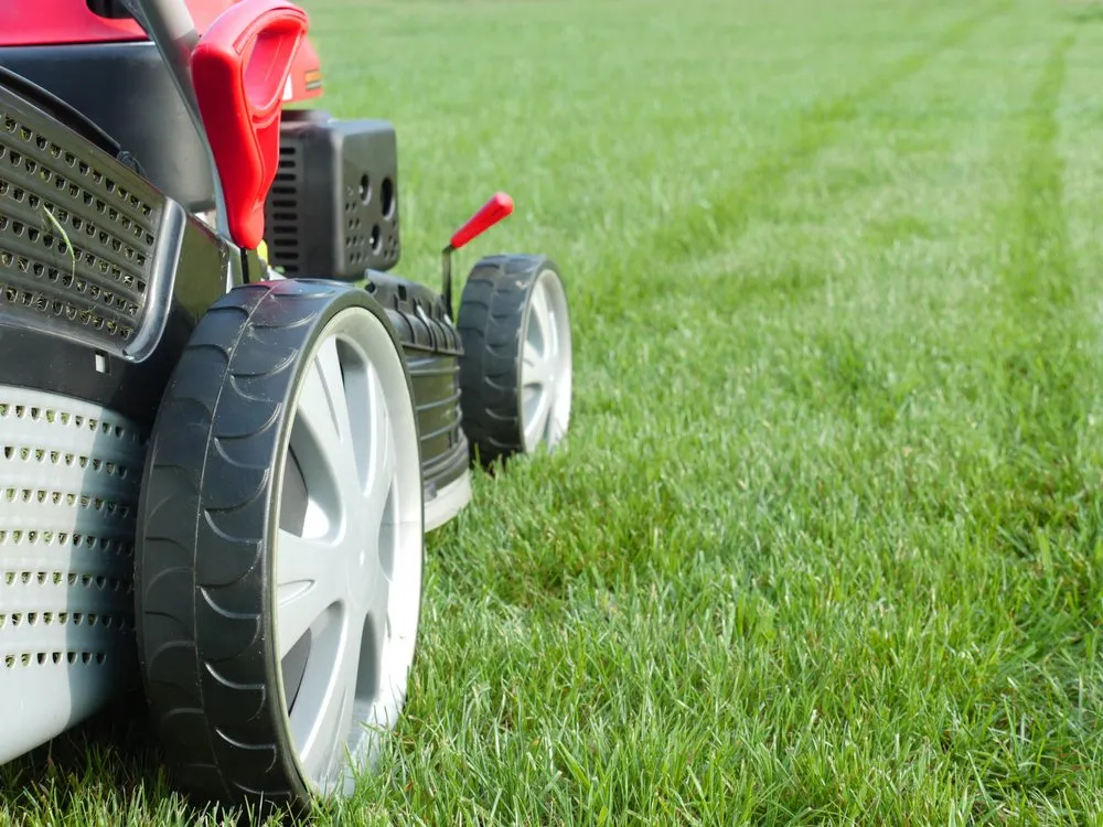 Reliable lawn mowing service experts serving Waleska, GA - Ground Cover Landscaping Services