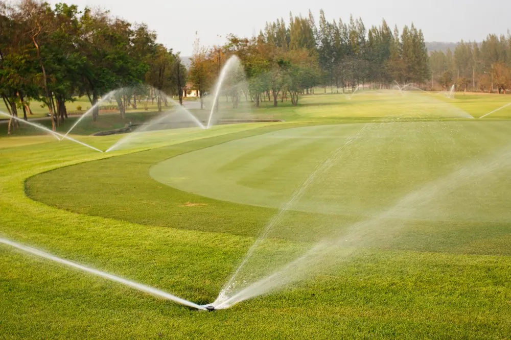 Top-rated landscape design experts serving Waleska, GA - Ground Cover Landscaping Services