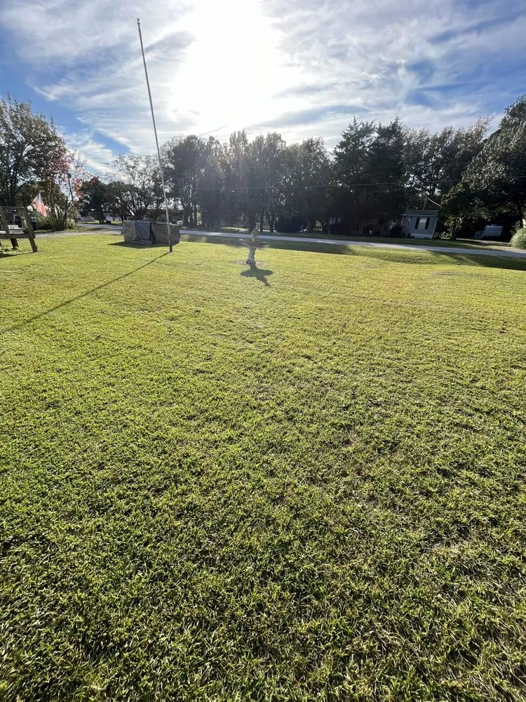 Affordable residential landscaping in Rocky Mount, NC by Ground Cutz Lawn Care