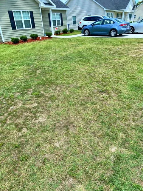 Expert outdoor landscaping for outdoor upgrades across Rocky Mount, NC - Ground Cutz Lawn Care