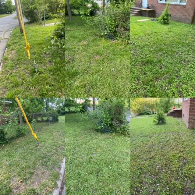 Affordable lawn care service in Rocky Mount, NC - Ground Cutz Lawn Care