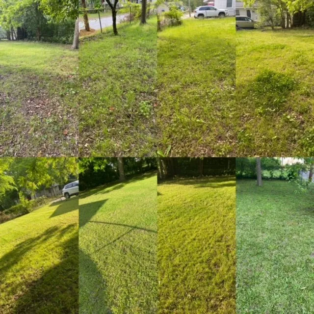 Trusted yard cleanup service in Rocky Mount, NC by Ground Cutz Lawn Care