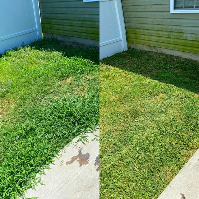 Custom yard cleanup service in Rocky Mount, NC by Ground Cutz Lawn Care