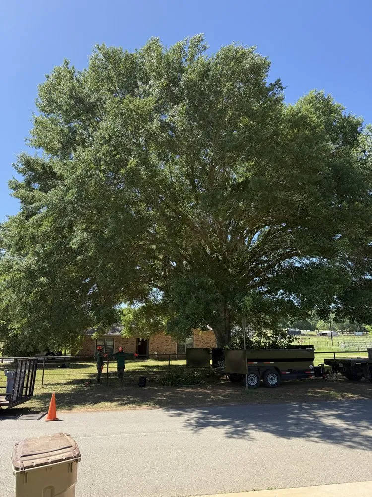 Custom landscaping services for residential properties across Bullard, TX - Ground Down Stump Grinding and Tree Service