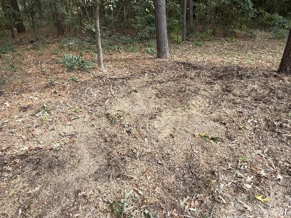 Trusted garden landscaping with custom design across Bullard, TX - Ground Down Stump Grinding and Tree Service