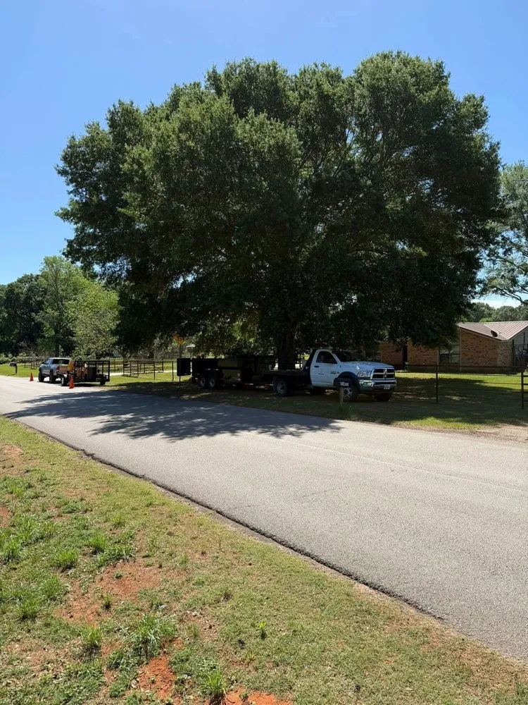 Affordable outdoor landscaping for beautiful yards across Bullard, TX - Ground Down Stump Grinding and Tree Service
