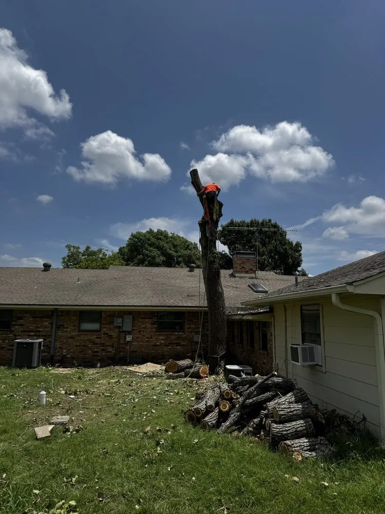 Affordable yard maintenance for homes across Bullard, TX - Ground Down Stump Grinding and Tree Service
