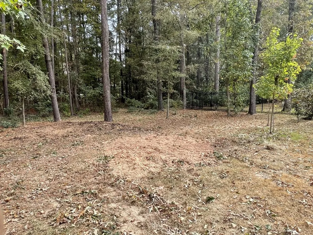 Affordable residential landscaping experts serving Bullard, TX - Ground Down Stump Grinding and Tree Service