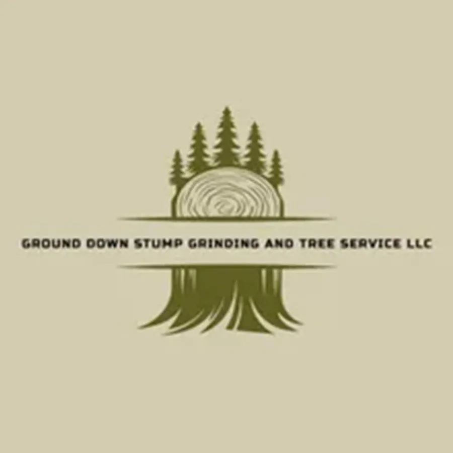 Expert yard cleanup service in Bullard, TX - Ground Down Stump Grinding and Tree Service