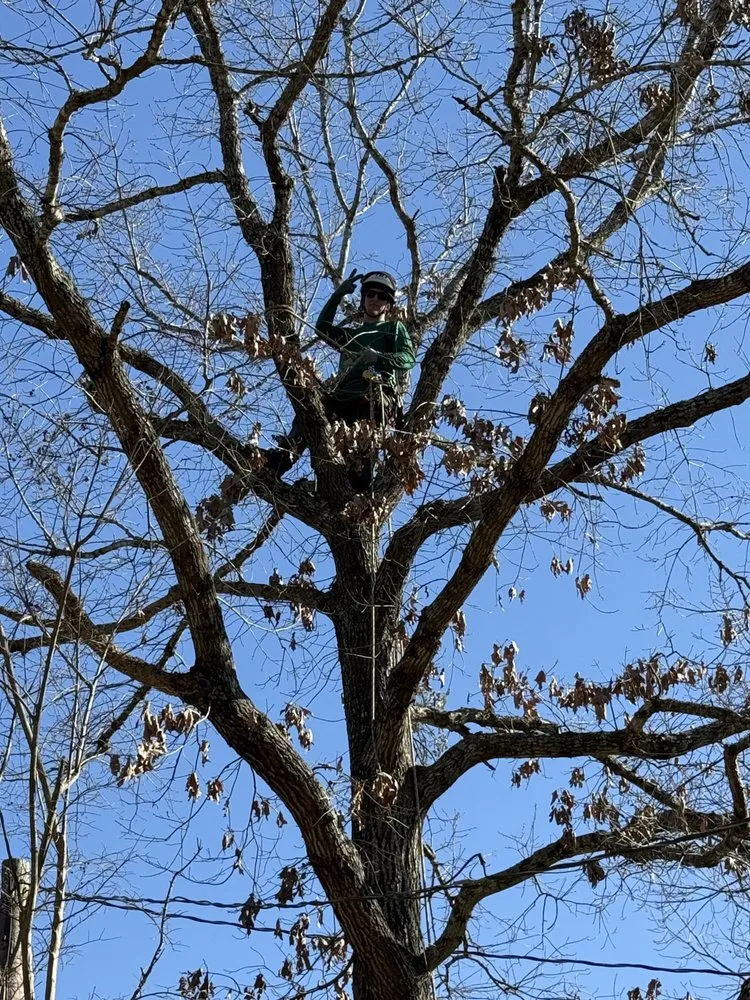 Local garden landscaping experts serving Bullard, TX - Ground Down Stump Grinding and Tree Service