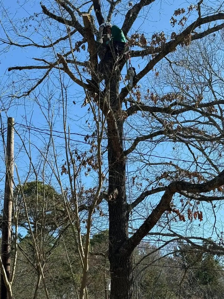 Local garden landscaping in Bullard, TX - Ground Down Stump Grinding and Tree Service