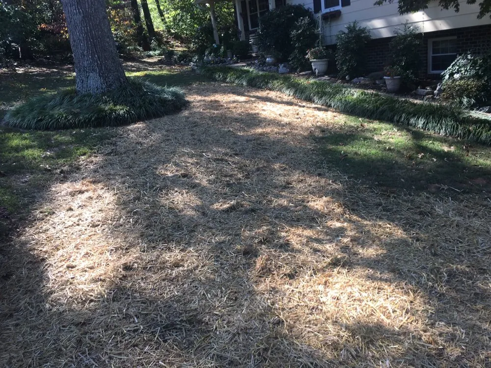 Affordable outdoor landscaping near you in Decatur, TN by Ground Effects