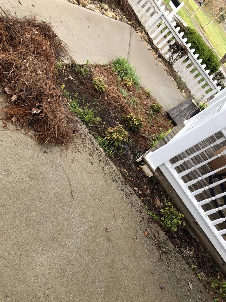 Expert lawn care service for residential properties across Decatur, TN - Ground Effects