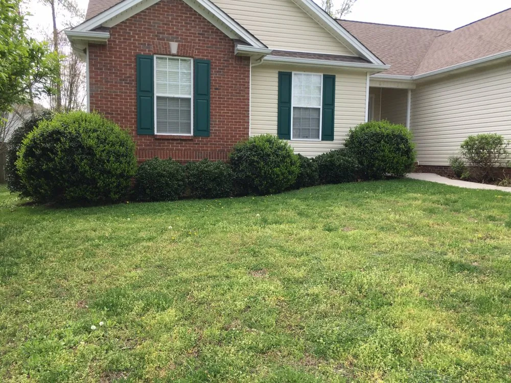 Top-rated yard cleanup service experts serving Decatur, TN - Ground Effects