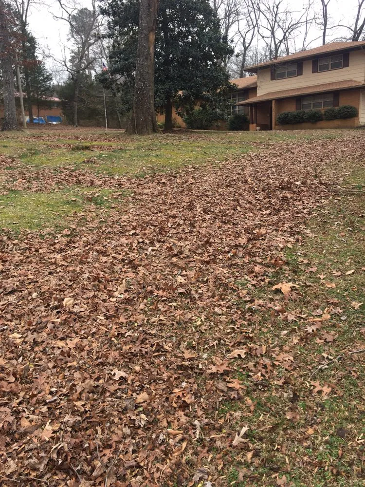 Custom landscaping services in Decatur, TN by Ground Effects