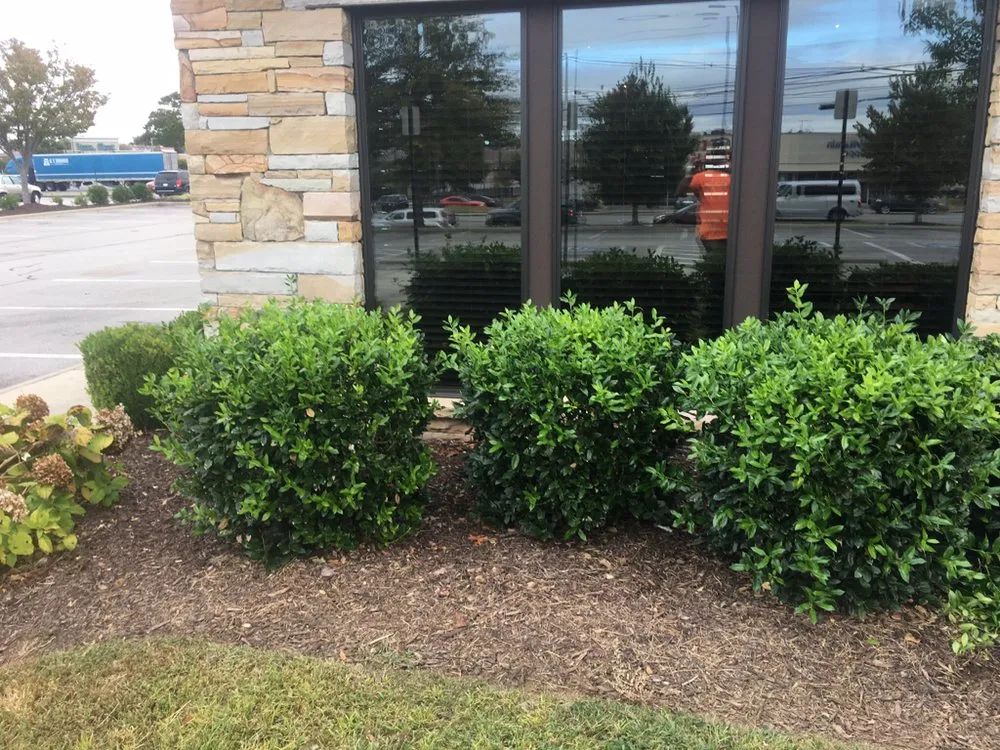 Reliable landscape design experts serving Decatur, TN - Ground Effects