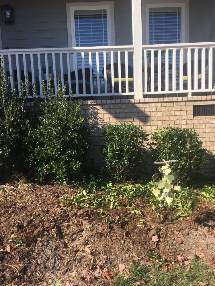 Trusted lawn mowing service experts serving Decatur, TN - Ground Effects