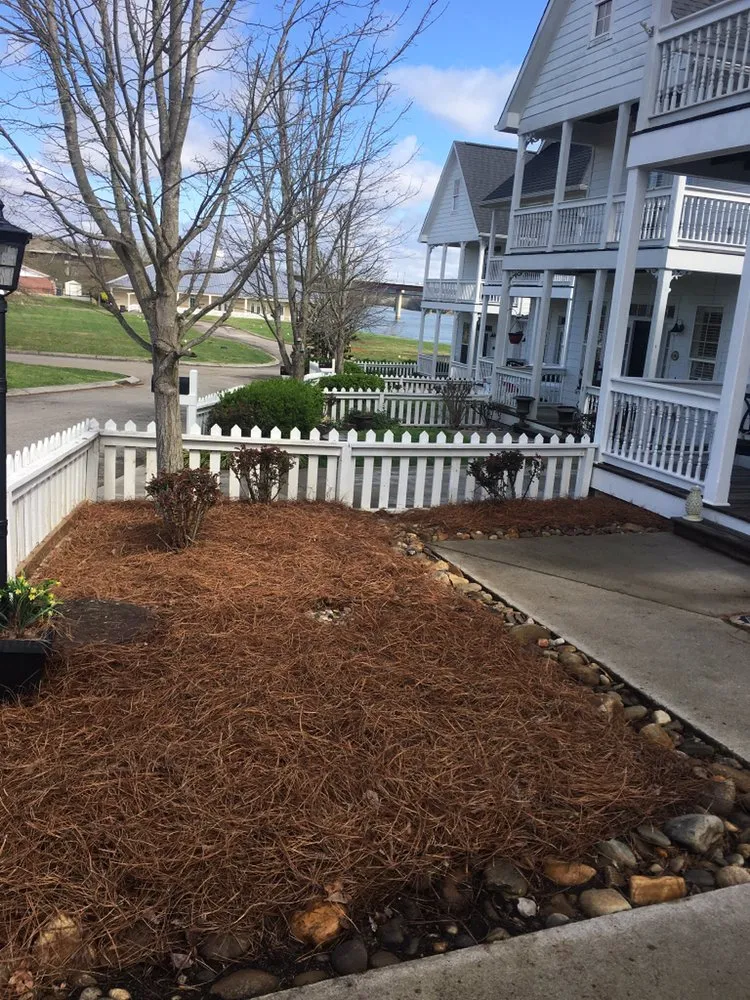 Expert yard cleanup service for beautiful yards in Decatur, TN by Ground Effects