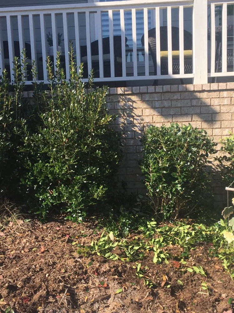 Expert garden landscaping in Decatur, TN - Ground Effects