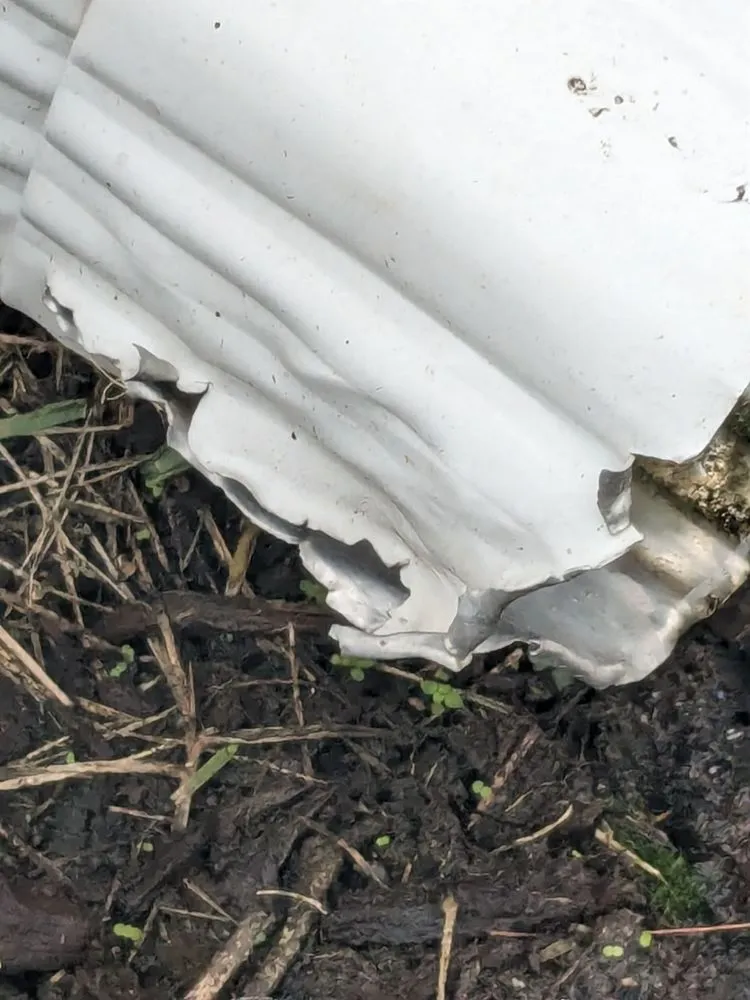 Affordable landscaping services with custom design in Fort Myers, FL by Ground Effects