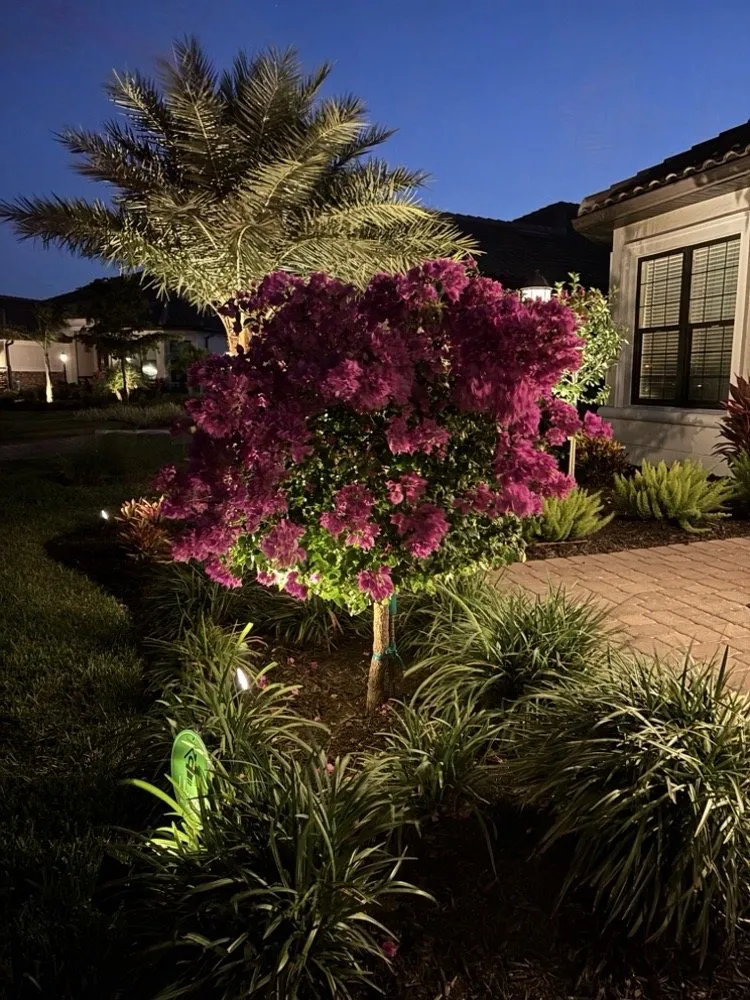 Local landscape design in Fort Myers, FL - Ground Effects