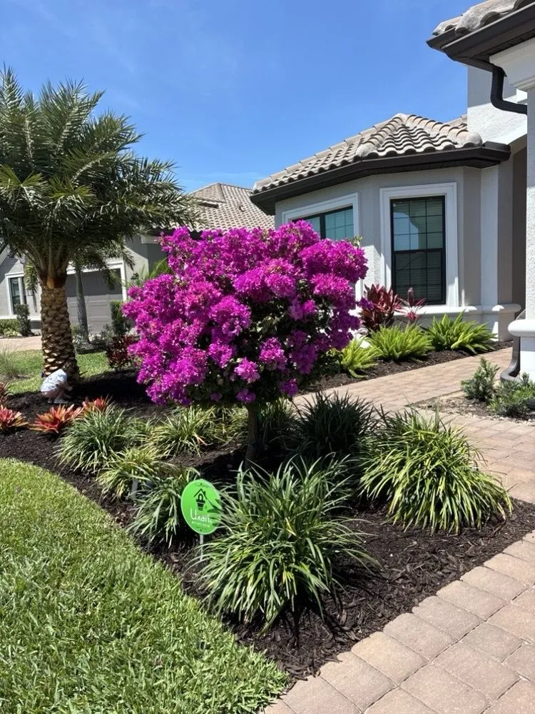 Top-rated landscape installation in Fort Myers, FL by Ground Effects