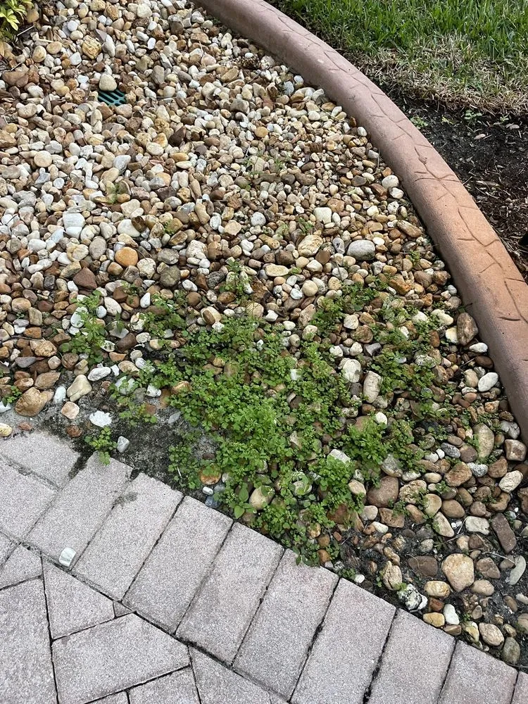 Reliable yard cleanup service for homes in Fort Myers, FL by Ground Effects