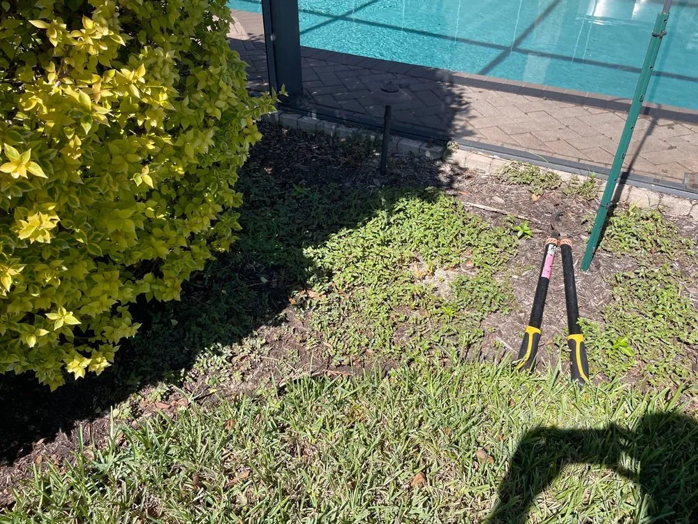 Local garden landscaping in Fort Myers, FL - Ground Effects