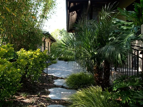 Custom landscaping services for residential properties in Pasadena, CA by Ground Effects Landscaping & Tree Service Inc.