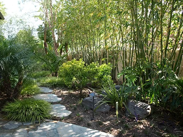 Affordable yard cleanup service in Pasadena, CA - Ground Effects Landscaping & Tree Service Inc.