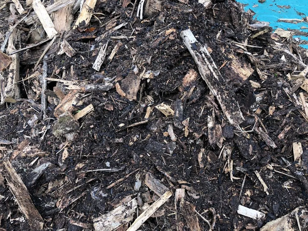 Affordable lawn care service in Carver, MA - Ground Effects Landscaping