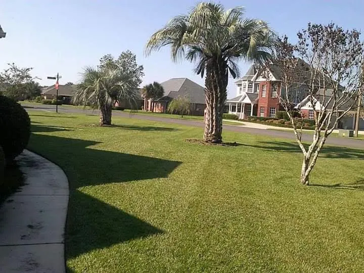 Trusted outdoor landscaping experts serving Milton, FL - Ground Effects Lawn and Landscapes